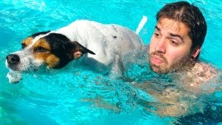 ADORABLE SWIMMING DOGGY!