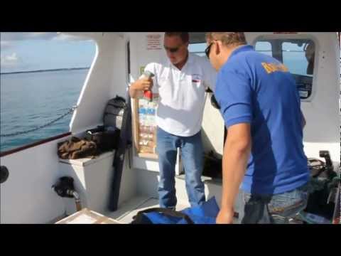 Catching A 15lb 11oz Smoothhound On The Daiwa Procaster X Spinning Rod