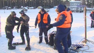 Тяжело в учении, но и в жизни не легче: бердские спасатели проводят регулярные водолазные учения при любой погоде