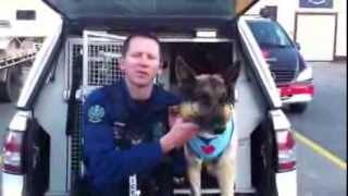 Police dog handler Simon and his dog Koda say thanks to the public