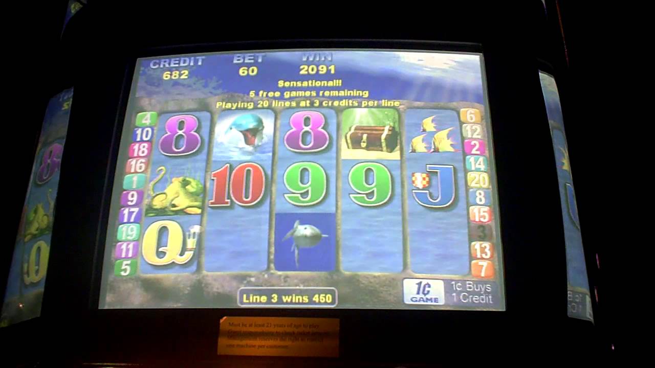 double dolphin slot machine double dolphin slot machine