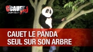 Cauet le panda reste perché seul en haut de son arbre - C'Cauet sur NRJ