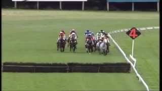 AMAZING FOOTAGE: Horse jumps rail, jockey stays on