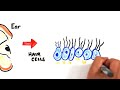 How Old Are Your Ears? (Hearing Test)