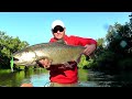 Salmon Fishing: Casting Crankbaits
