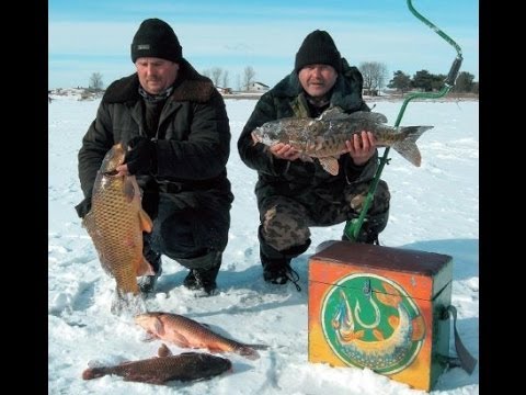Зимняя рыбалка видео бесплатно Смотри видео о зимней рыбалке 2014 Рыбалка зимой 2014