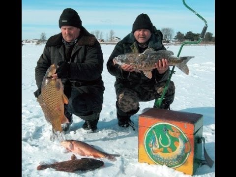 Рыбалка - Если берег крутой После этого хищница сожмет Рыбалка - Если берег крутой После этого хищница сожмет