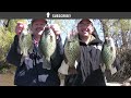 How to Fish for Huge Slab Crappies using Live Bait (Minnows)