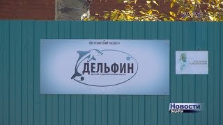 Возродить лагерь «Дельфин» предложили депутаты Бердска