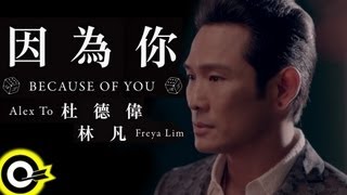 杜德偉 林凡-因為你 (官方完整版MV)(HD)