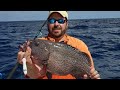 Wahoo Fishing Video Surf City, NC