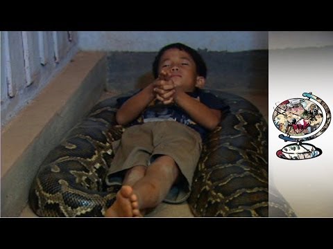 A Cambodian Boy Who Sleeps with a Python