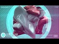 Dubstep Mix *Cinema 4D* - *Beeple* Visuals - Awesome Video MiX!