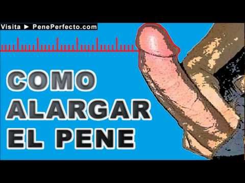 Que miembro de la dimensión se considera grande y pequeño