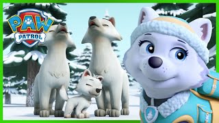 Tlapková Patrola -  Tlapky zachraňují sněžného vlka 