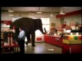 Mastercard Priceless Elephant