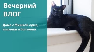 Вечерний вложик с Мишкой. Посылки, маникюр, новый айфон и прочее