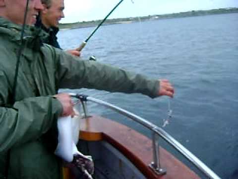 Galway Fishing. Thornback Ray fishing with Max Couque in Galway Bay, Connemara, Ireland