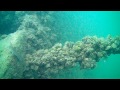 Tonawanda, lake Erie