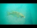 Tonawanda, lake Erie