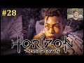 Horizon Zero Dawn Прохождение - Сердце Нора #28
