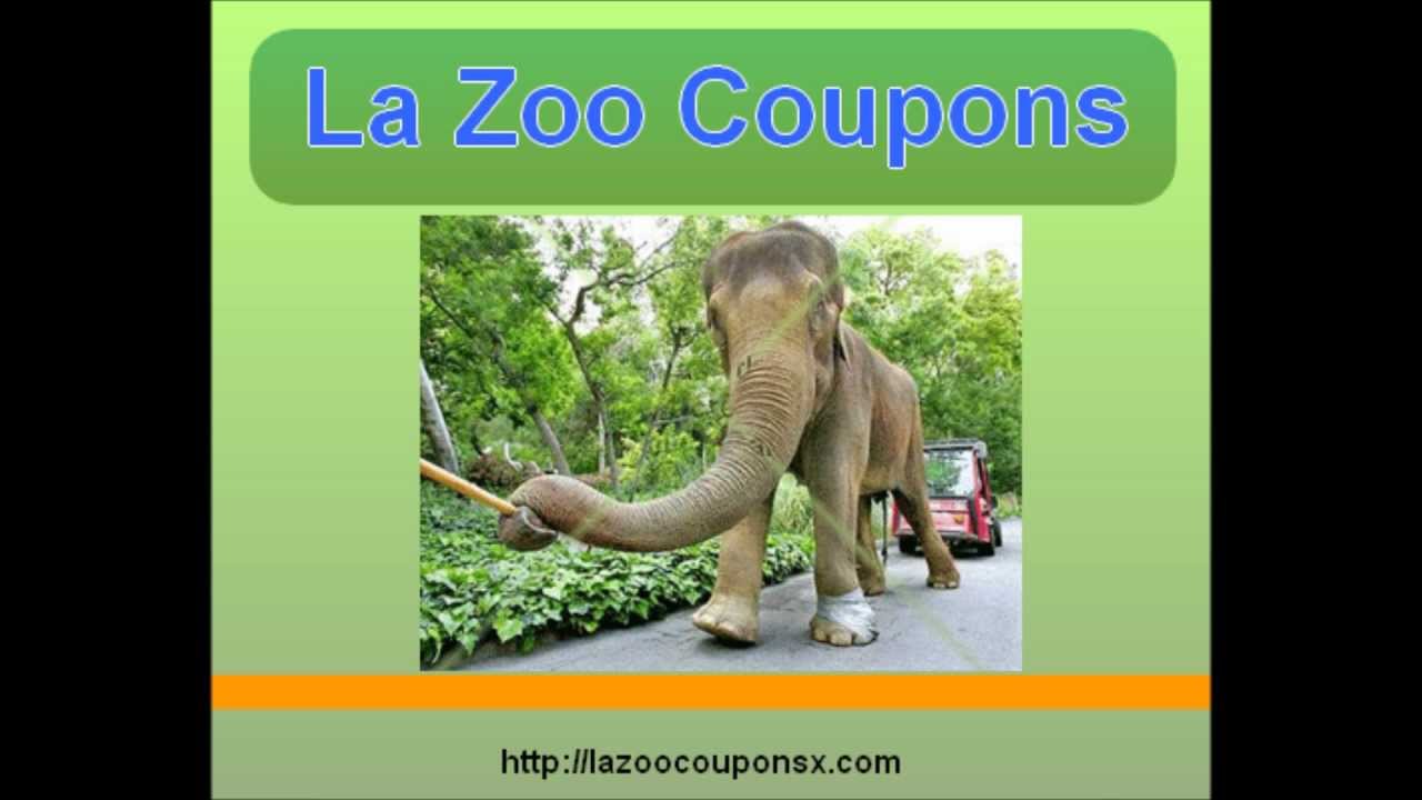 La Zoo coupons coupons for la zoo YouTube