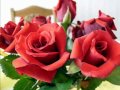 ♥ ♥.....Beautiful Roses - For you ♥ - Festival of Roses (California) ecards - Events Greeting Cards