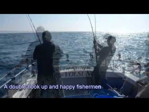 Shark fishing in Pembrokeshire with Broadside Boat Charter