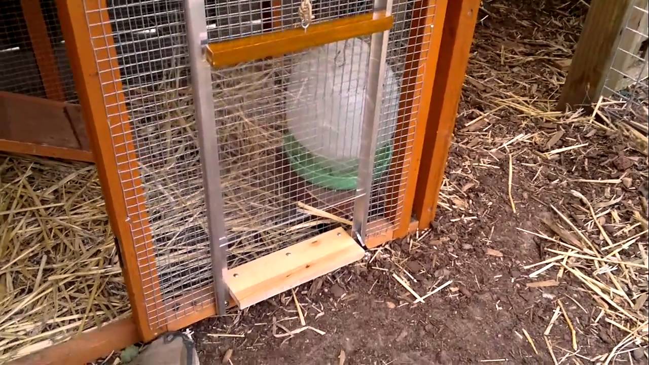 DIY Automatic Chicken Coop Door - YouTube
