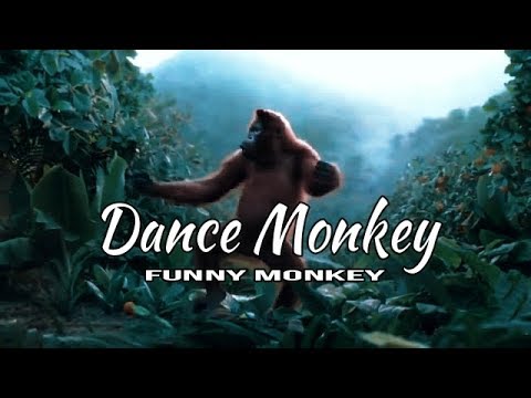 DANCE MONKEY (Tones and I) - Original Funny Monkey
