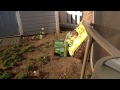 Trying to hit a water bottle with a bow and arrow