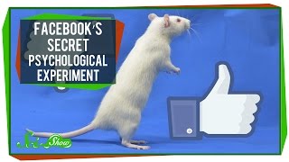 Facebook's Secret Psychological Experiment