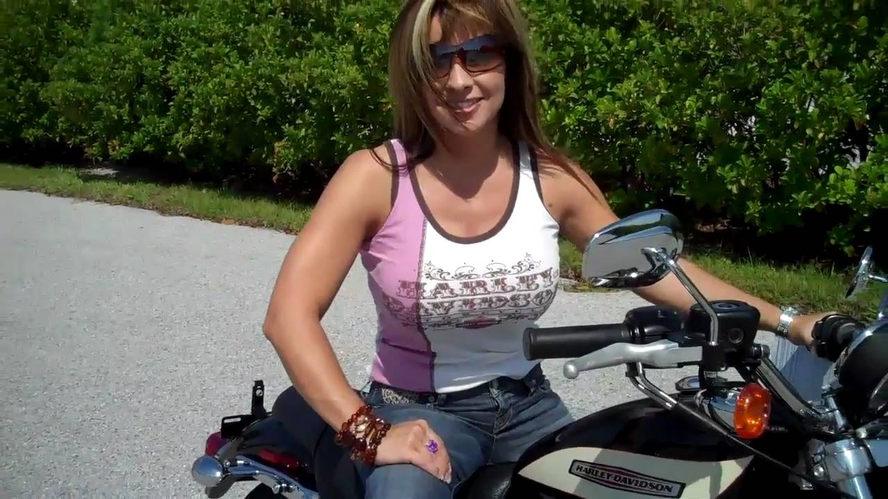 harley asian painted fenders weapons of ass destruction teagan