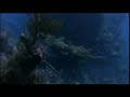 The Abyss (1989) - Trailer