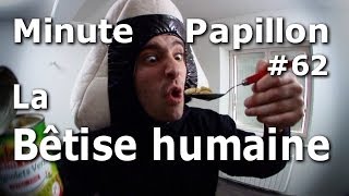 Minute Papillon #62 La Bêtise Humaine