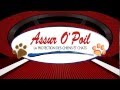 THE WOUARF JINGLE DE L' EMISSION D' ASSUR O' POIL, LA MUTUELLE DES ANIMAUX