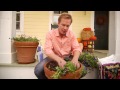 Planting Tulip Bulbs in Containers | At Home With P. Allen Smith
