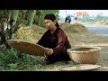 Tuyển tập những bài hát hay nhất về thái bình
