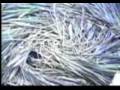 Alien artifacts discovered underneath crop circles