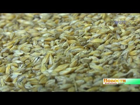Что посеешь? Полеводы района готовятся к новому сезону Что посеешь? Полеводы района готовятся к новому сезону