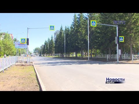 Глава Бердска недоволен тем, как вывозят мусор Глава Бердска недоволен тем, как вывозят мусор