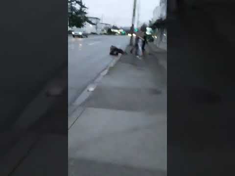 Street fight caught on camera funny