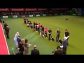 Young Kennel Club - Agility Competition - Crufts 2013