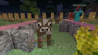 Minecraft Xbox - Quest For A Cow Contest (30)