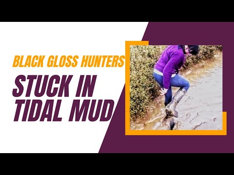 CharDust Muddy Hunters, Tidal Flats #2