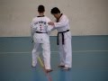 Stage de Taekwondo avec Maitre Park Moon Soo