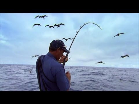 梦录 （19）—- 钓鱼