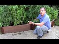 How to garden: Starting a Vegetable Garden