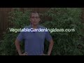 How to garden: Starting a Vegetable Garden