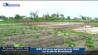 GABON / AGRICULTURE & ELEVAGE : IDRC Africa et IGAD en partenariat sur le site de Bolokoboué
